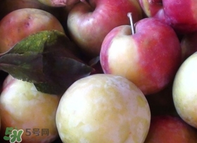 南華李什么時候成熟？南華李和三華李的區(qū)別