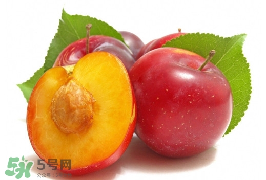 三華李可以放多久？三華李可以冷藏嗎？