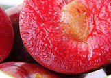 雙華李幾月可以吃？雙華李什么季節(jié)成熟