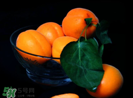 杏子可以和芒果一起吃嗎？吃完杏子可以吃芒果嗎？