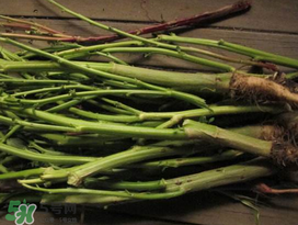莧菜桿能吃嗎？莧菜桿子可以吃嗎？