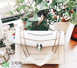 寶格麗蛇頭包有哪幾種尺寸？寶格麗蛇頭包尺寸介紹