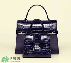 delvaux2017春夏系列包包款式有哪些_好看嗎？