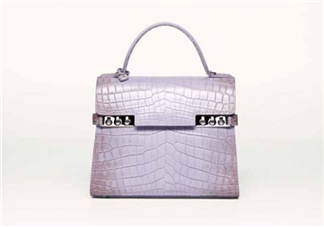 delvaux2017春夏系列包包款式有哪些_好看嗎？