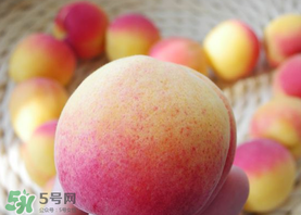 杏的熱量高嗎？一個杏的熱量是多少？