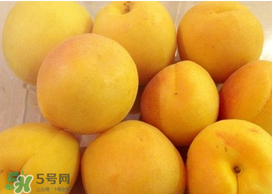 杏吃多了會(huì)怎么樣？杏吃多了會(huì)不會(huì)上火?