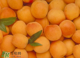 杏怎么催熟？杏怎么放熟的快？