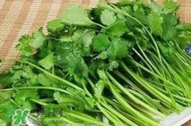 香菜洗腎有科學(xué)依據(jù)么？香菜能洗腎是真的嗎？