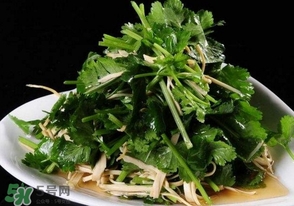 香菜是什么菜？香菜是陽痿草嗎？