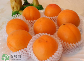 杏子可以放冰箱嗎？杏子可以冷藏嗎？