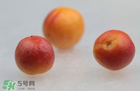 杏子怎么保存？長杏子怎么保存時間長？