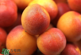 新鮮杏子可以放冰箱嗎？新鮮杏子怎么保存？