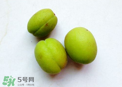 青杏怎么催熟？青杏怎么變黃？