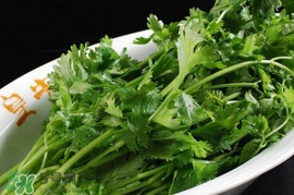 香菜是感光食物嗎？香菜是不是感光食物