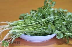 香菜是寒性食物嗎？香菜是熱性還是涼性？