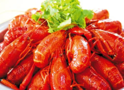 清蒸龍蝦需要多長(zhǎng)時(shí)間？清蒸龍蝦要蒸多久？