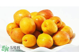 杏和荔枝能一起吃嗎？杏和荔枝一起吃會中毒嗎？
