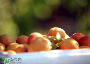 杏子好吃嗎？杏子可以多吃嗎？