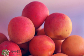 杏子好吃嗎？杏子可以多吃嗎？
