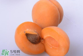 杏子好吃嗎？杏子可以多吃嗎？