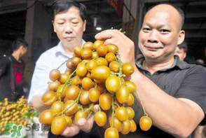 黃皮好吃嗎？黃皮是什么味道？