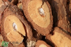 山葡萄根一斤多少錢？山葡萄根功效與作用