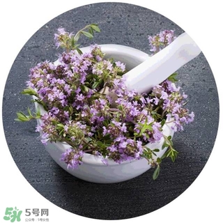 lululun plus面膜怎么樣？lululun plus面膜哪款好