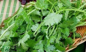 香菜洗腎有科學(xué)依據(jù)么？香菜能洗腎是真的嗎？