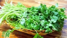 香菜是寒性食物嗎？香菜是熱性還是涼性？