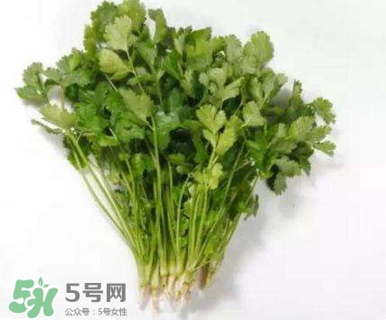 香菜洗腎有科學(xué)依據(jù)么？香菜能洗腎是真的嗎？