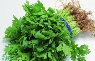 香菜是回奶的嗎？香菜是回奶還是下奶