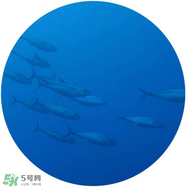 lululun plus面膜怎么樣？lululun plus面膜哪款好