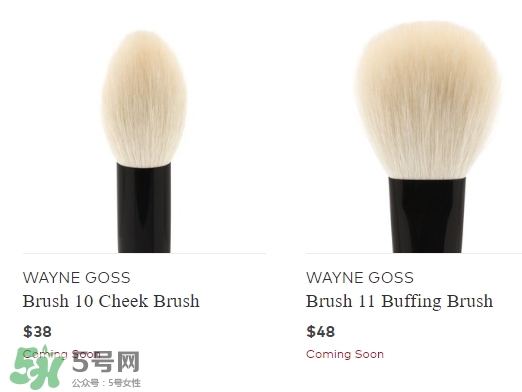 wayne goss是什么牌子？wayne goss化妝刷怎么樣？