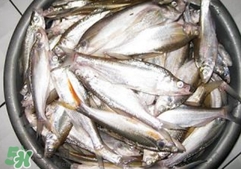 翹殼是什么魚？翹殼魚多少錢一斤2017？