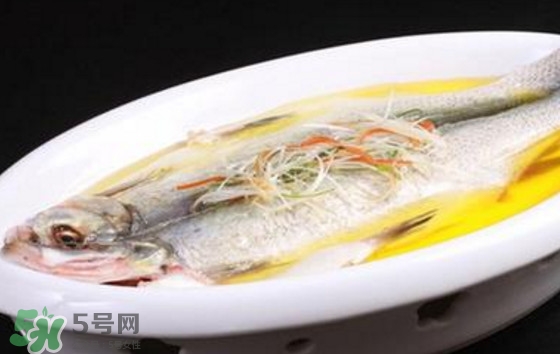 孕婦可以吃白條魚嗎？白條魚孕婦能吃嗎？