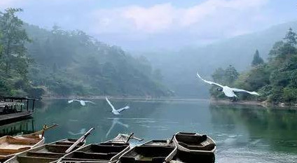 馬口魚能養(yǎng)殖嗎？馬口魚怎么養(yǎng)？