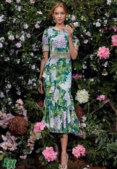 dolce gabanna杜嘉班納2017秋冬繡球花系列怎么樣_好看嗎？