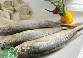 黃魚多少錢一斤？黃魚多少錢一斤2017？