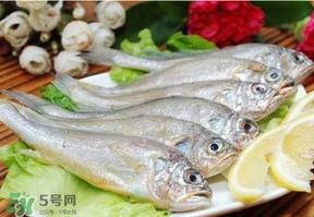 小黃魚多少錢一斤？野生小黃魚多少錢一斤？