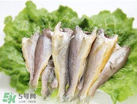 小黃魚可以養(yǎng)殖嗎？小黃魚能人工養(yǎng)殖嗎？