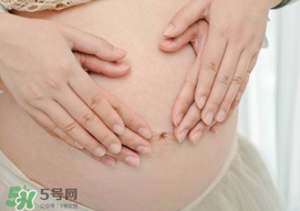 孕婦驅蚊植物推薦 孕婦能用植物驅蚊嗎？