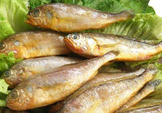 小黃魚多少錢一斤？野生小黃魚多少錢一斤？