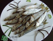 白條魚多少錢一斤2017？野生白條魚多少錢一斤