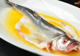 白條魚(yú)能長(zhǎng)多大？白條魚(yú)可以長(zhǎng)多大？