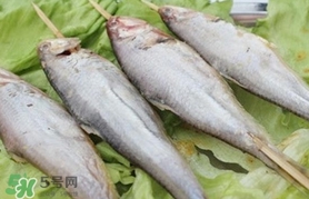馬口魚怎么釣？馬口魚什么時候釣最好