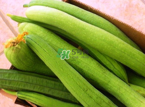 7月份吃什么蔬菜？七月份吃什么蔬菜？