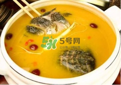 甲魚湯怎么做？甲魚湯的做法