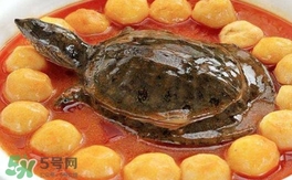 喝甲魚(yú)湯有什么好處？甲魚(yú)湯的功效與作用