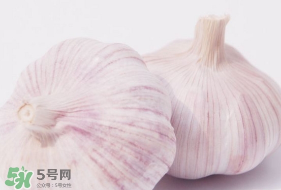 新蒜頭多少錢一斤2017？新蒜頭市場價格