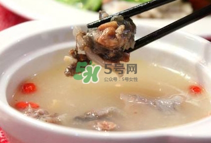 甲魚湯怎么做？甲魚湯的做法